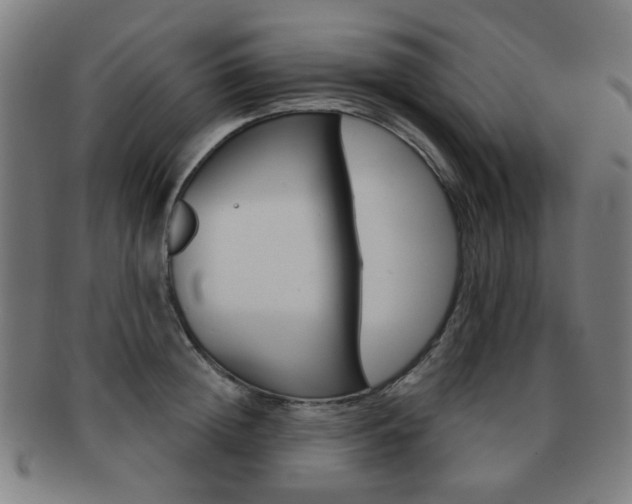 X0000091890852200709051043
