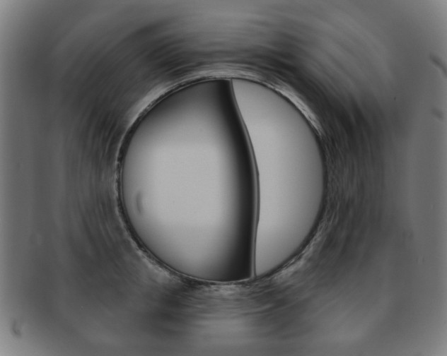 X0000091890853200709051043