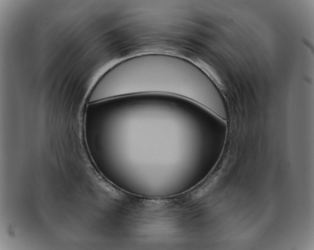 X0000091890854200709051043