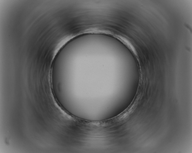 X0000091890855200709051043
