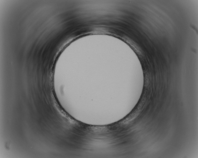 X0000091890856200709051043