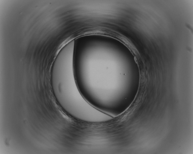 X0000091890858200709051043