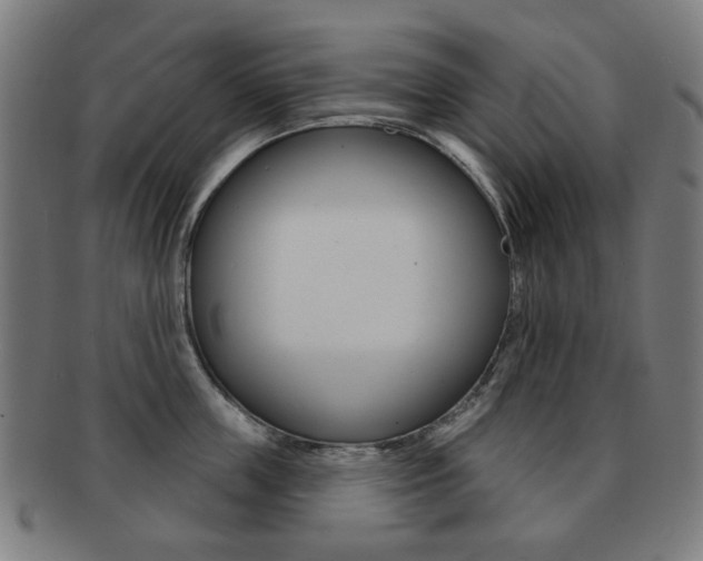 X0000091890859200709051043