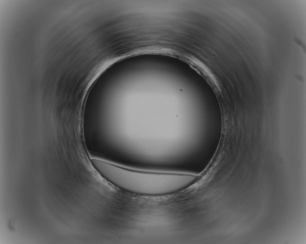 X0000091890860200709051043