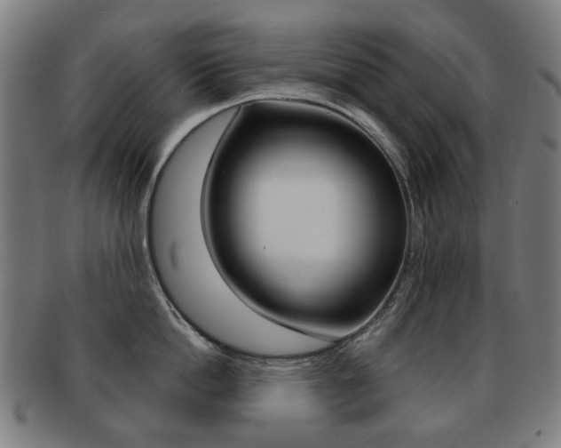 X0000091890862200709051043