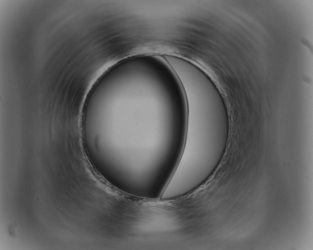 X0000091890864200709051043