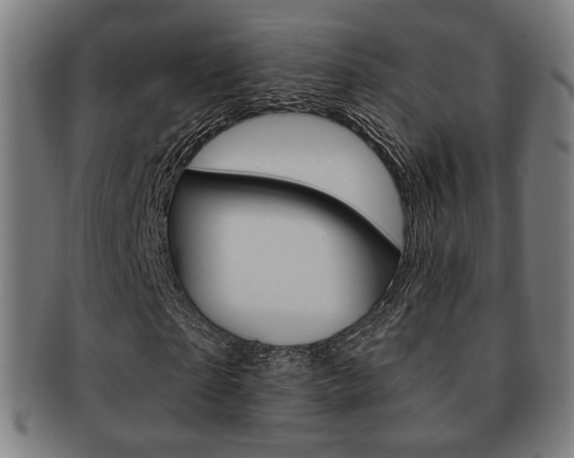 X0000091890865200709051043
