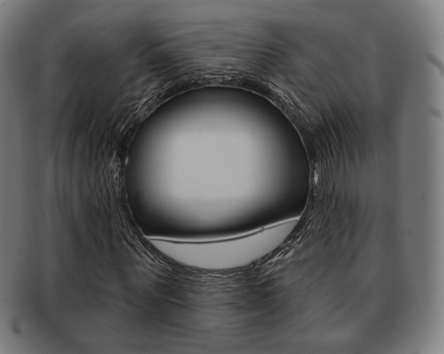 X0000091890867200709051043