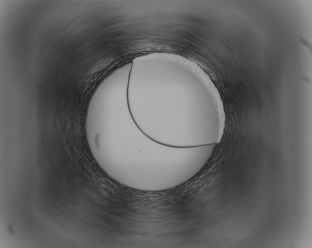 X0000091890869200709051043