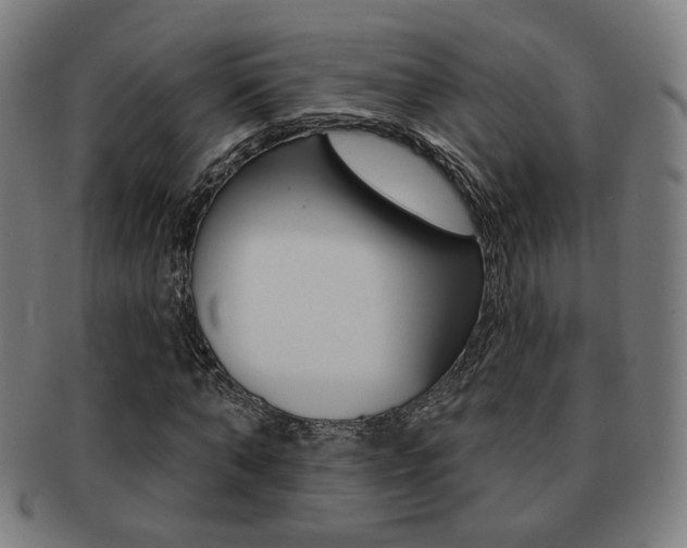 X0000091890870200709051043