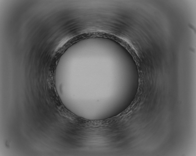 X0000091890871200709051043