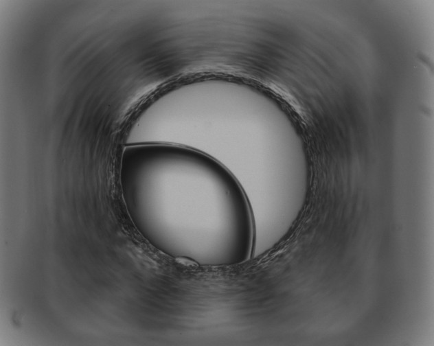 X0000091890872200709051043