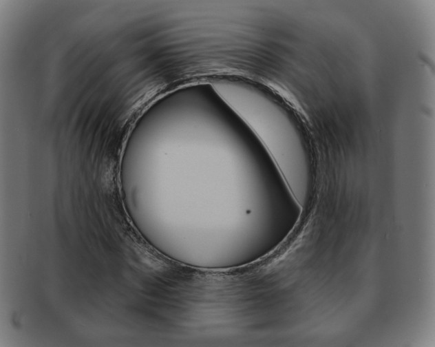 X0000091890873200709051043