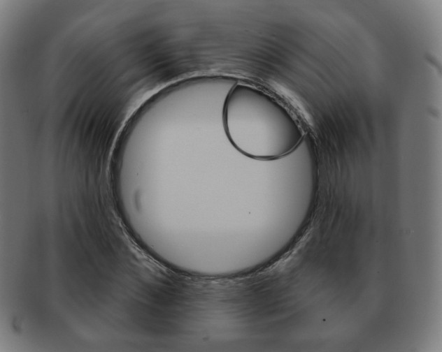 X0000091890876200709051043
