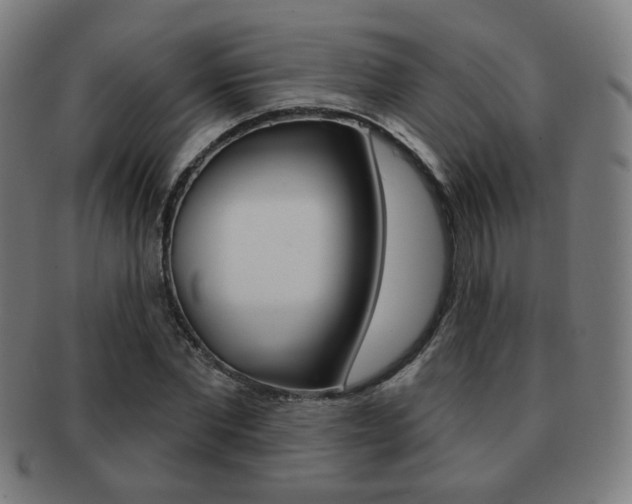 X0000091890877200709051042