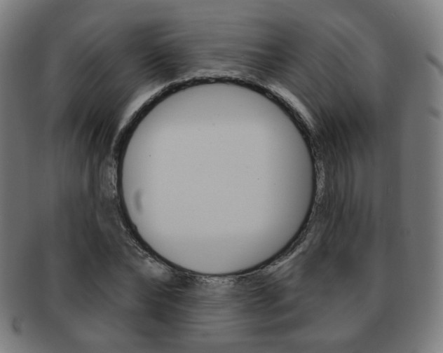 X0000091890878200709051042