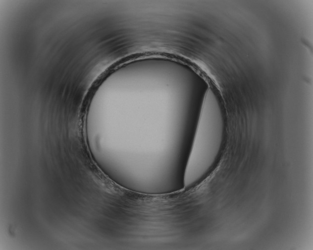 X0000091890879200709051042