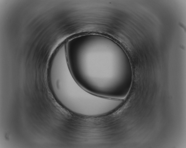 X0000091890880200709051042