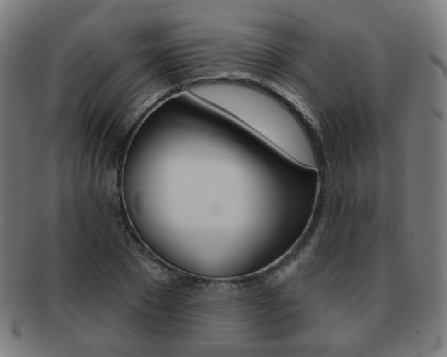 X0000091890881200709051042