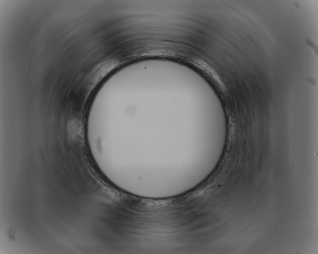 X0000091890882200709051042