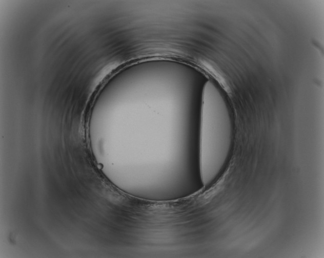 X0000091890883200709051042