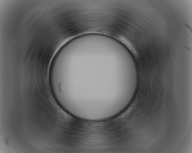 X0000091890884200709051042