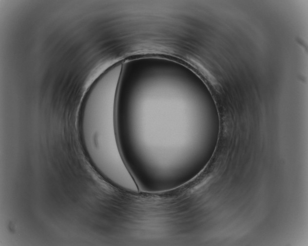 X0000091890885200709051042