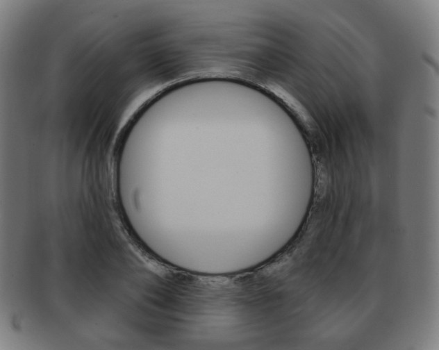 X0000091890886200709051042