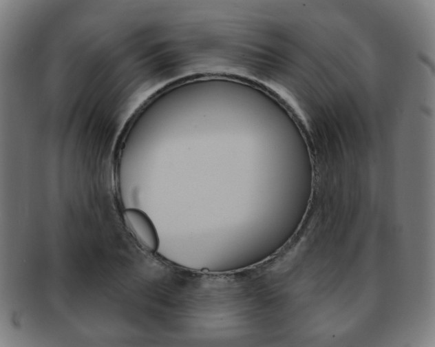X0000091890887200709051042