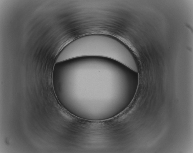 X0000091890889200709051042