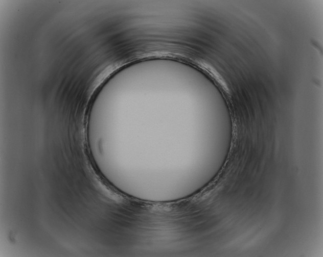 X0000091890890200709051042