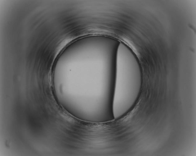 X0000091890891200709051042