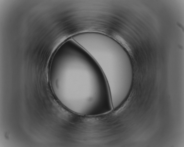 X0000091890892200709051042