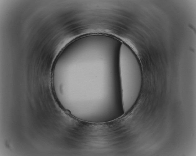 X0000091890895200709051042