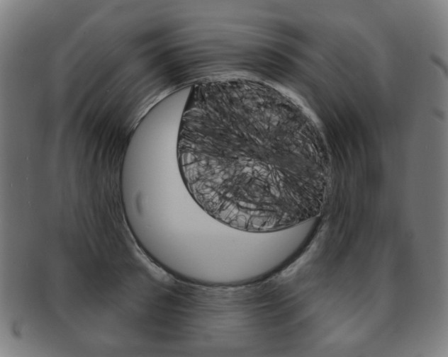 X0000091890897200709051042