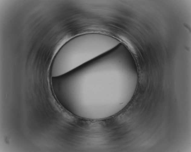 X0000091890899200709051042