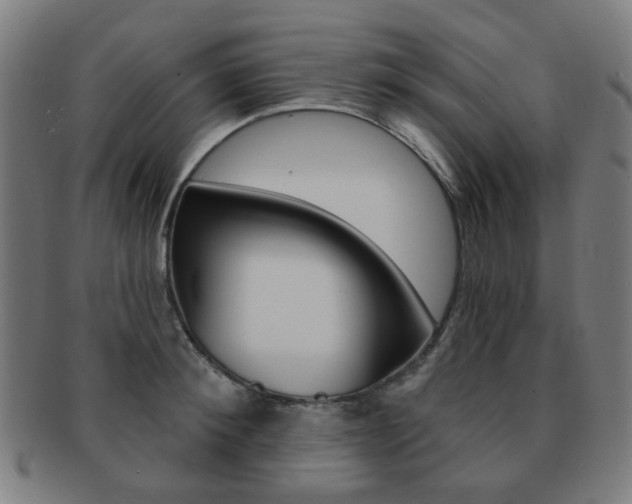 X0000091890900200709051042