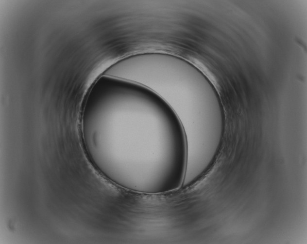 X0000091890901200709051042