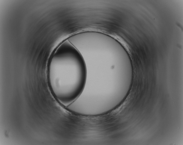 X0000091890902200709051042