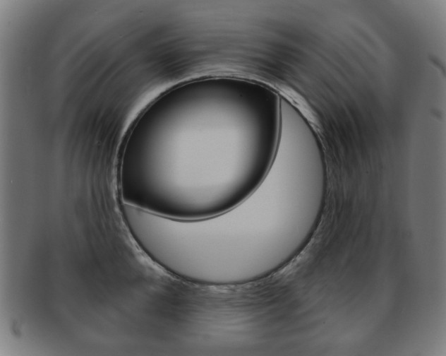 X0000091890904200709051042