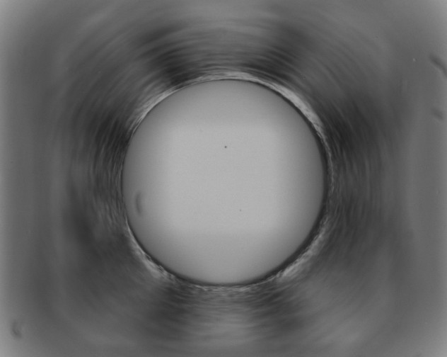 X0000091890905200709051042