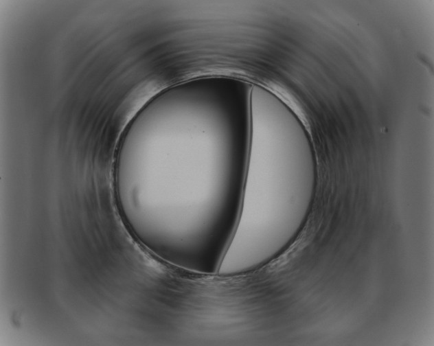 X0000091890906200709051042