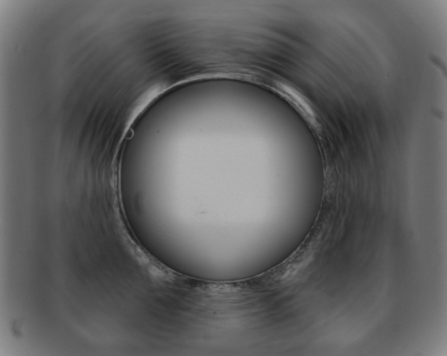 X0000091890907200709051042