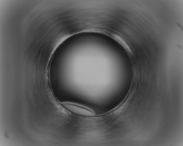 X0000091890908200709051042