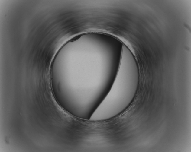 X0000091890911200709051042