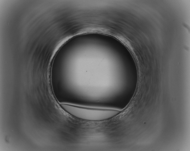 X0000091890912200709051042