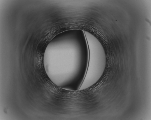 X0000091890914200709051041