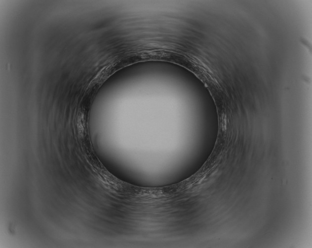X0000091890915200709051041