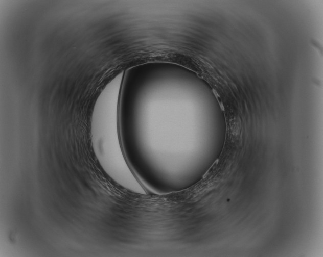 X0000091890916200709051041