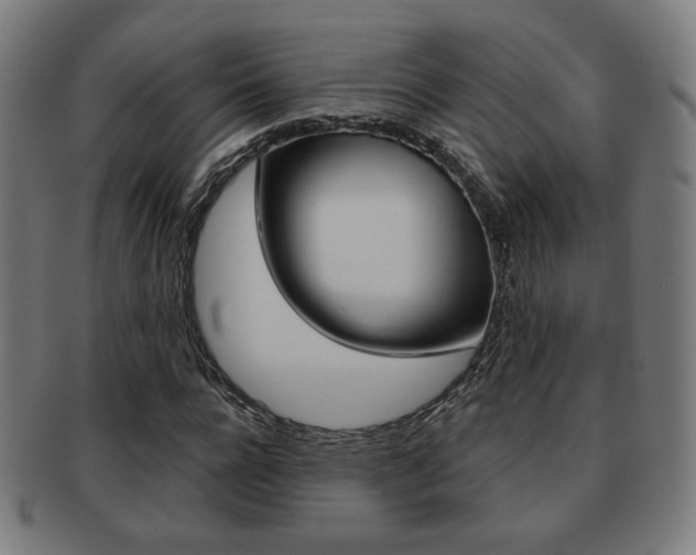 X0000091890920200709051041